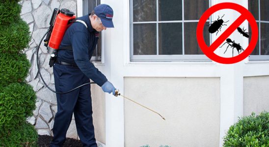 Devrekani Böcek İlaçlama böcek ilaçlama ve haşere kontrolü — ilaclama-tr.com